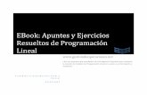 EBook: Apuntes y Ejercicios Resueltos de Programación · PDF fileque cursan la asignatura de Investigación de Operaciones y Gestión de Operaciones. ... se emprende una iniciativa