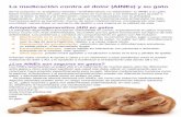La medicación contra el dolor (AINEs) y su gato · PDF fileLa medicación contra el dolor (AINEs) y su gato Se ha prescrito un analgésico llamado “antiinflamatorio no esteroideo”