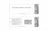 Drenaje linfático manual - …see4509e4090f5115.jimcontent.com/download/version/1272792754/mo… · masaje destinado a mejorar las funciones del sistema ... Efectos del drenaje linfático.