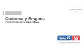 Codensa y Emgesa - corporativo.codensa.com.cocorporativo.codensa.com.co/ES/ACCIONISTAS... · Líneas Aéreas de Trasmisión Tensión 115 Kv : 1.131 Km Tensión 57.5 Kv: ... costo
