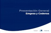 Presentación General - · PDF fileEstructura societaria de las Compañías en Colombia ... Líneas Aéreas de Trasmisión Tensión 115 Kv : 1.131 Km Tensión 57.5 Kv: 116 Km Trasformadores