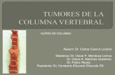CURSO DE COLUMNA - · PDF fileLesiones locales de la columna vertebral: •Tumores primarios de hueso •Lesiones primarias de médula espinal ... •Tumores adyacentes a la medula