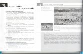 Animalia ornodunak Animalia - KUETOESKOLAkuetoeskola.wikispaces.com/file/view/03+animalia+ornodunak+zuzen.pdf · orokorrak alter ditzakete, eta gero, azterketa zehatzagoa egin, aberatsa