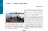 Tema de Portada RESCATE Y SALVATAJE EN ... - Armada de Chile · PDF filedesarrolla la Armada de Chile en el contexto ... Capacidad actual de buceo en la Armada. ... de capacitación
