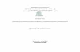 informe final trabajo social 2008 - Vicerrectoría de Docenciahuitoto.udea.edu.co/programacionacademica/contenido/IPPA/PLANES … · Informe Final de Autoevaluación para la Renovación