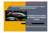 “Avances en el cultivo de Paiche en la Región Loreto” · PDF fileHarina de pescado en 60%, aceite de pescado 20% fibra en 10% y solo un 10% de torta de soya. 6 c. correa