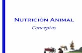 Nutrición Animal 1ª etapa - ucv.ve · PDF fileProducción Animal con Rumiantes •Forrajes Verdes •Forrajes Conservados •Pajas y Rastrojos •Residuos Agrícolas •Residuos