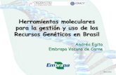 Herramientas moleculares para la gestión y uso de los ... · PDF fileHerramientas de biologia molecular Bases de datos genótipos/haplótipos Análisis estadísticos ... • Están