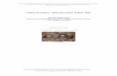 Culebra de escalera – Rhinechis scalaris (Schinz, 1822)digital.csic.es/bitstream/10261/109369/1/rhisca_v4.pdf · Culebra de escalera – Rhinechis scalaris (Schinz, 1822) Juan M.