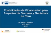 Posibilidades de Financiación para Proyectos de Biomasa y ... · PDF fileDirigido a la exportación y al financiamiento de proyectos Ambitos: todos los sectores económicos, entre