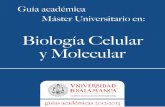 Biología Celular y Molecular - Universidad de Salamanca celular y molecular2012-2013.pdf · - Trabajo Fin de Máster (15 ECTS) Nº Créditos: .45 ASIGNATURAS ... 2.- Sentido de la