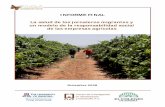 INFORME FINAL La salud de los jornaleros migrantes y un ... · PDF fileInforme Final -2 Abstracto El Centro de Investigación en Alimentación y Desarrollo, A.C. (CIAD), El Colegio