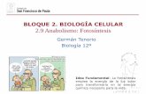 BLOQUE 2. BIOLOGÍA CELULAR 2.9 Anabolismo: ntesis__2016-17.pdf · PDF fileAnabolismo A partir de los precursores metabólicos obtenidos en las reacciones catabólicas, la célula
