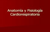 Anatomía y Fisiología Cardiorespiratoria - Deposoft fisica/Anatomia_y_fiologia... · Anatomía de la vía aérea Es un sistema canalicular, que forma parte del Aparato Respiratorio,