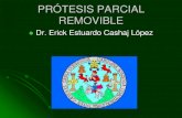 PRÓTESIS PARCIAL REMOVIBLE - Odonto5 · PDF fileque contribuya a cumplir con el objetivo de la prótesis parcial removible “ preservar los ... Prótesis Parcial Removible. McCracken.