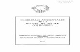 PROBLEMAS AMBIENTALES DE LA REGION DEL …pdf.usaid.gov/pdf_docs/PNABN144.pdf · do un marco legislativo integrador y el fortalecimiento de una ... Regionales de Calidad Ambiental",