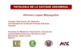 Alfonso López ez MaMayygagoitia - people.upei.capeople.upei.ca/lopez/castellano/monterrey/03-diagnostico_abdominal.pdf · NoahNoahs’sarkive arkive Necropsia ... Cólico Equino