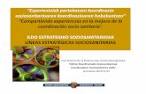 “Esperientziakpartekatzenkoordinazio ... · PDF file4.- plan de desarrollo de la atencion sociosanitaria en colectivos diana. atencion a personas con discapacidad y dependencia
