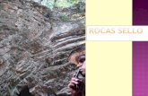 ROCA SELLO - usuarios.geofisica.unam.mxusuarios.geofisica.unam.mx/gvazquez/geoquimpetrolFI/zonadesplegar... · tienen en las regiones con una historia geológica simple, ya que ...