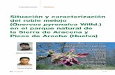 Situación y caracterización del roble melojo - · PDF file94 n.o 50 distriBucióN del roBle meloJo eN aNdalucía E l roble melojo se encuentra en Andalucía en todas sus provincias
