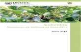 Base libro censo 2011 - unodc.org · PDF fileCenso de cultivos de coca 2011 5 TABLA DE CONTENIDO RESUMEN DE RESULTADOS 8 RESUMEN EJECUTIVO 9 1. INTRODUCCIÓN 9