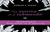 Libro proporcionado por el equipo - Descargar Libros en ...descargar.lelibros.org/Sarah J. Maas/La Asesina en el Submundo (364... · era uno de los más seductores. —Cada día —prosiguió