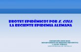 BROTES EPIDÉMICOS POR E. COLI: LA RECIENTE …mensacivica.com/wp-content/uploads/2012/05/epidemiaalemana.pdf · es un grupo de bacterias que ayudan a mantener el equilibrio de la