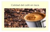 Servicios de Restauración---( abz)---1 · PDF fileCaracterísticas organolépticas (cata brasileña) Otras catas: de arábicas, robustas, naturales, torrefactos, ... del café y la