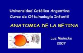 ANATOMIA DE LA RETINA -  · PDF fileANATOMIA DE LA RETINA Luz Meincke 2007 Universidad Católica Argentina Curso de Oftalmología Infantil