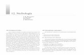 12. Nefrología - SEFH · PDF fileJ. B. MONTORO A. SEGARRA R. LÓPEZ J. MONTERDE 12. Nefrología INTRODUCCIÓN Las enfermedades renales pueden ponerse de manifiesto tanto a través