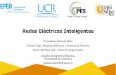 Redes Eléctricas Inteligentes -  · PDF fileDirector Dept. Máquinas Eléctricas y Sistemas de Potencia Senior Member, IEEE - Power & Energy Society ... • Monitoreo y control