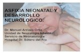 ASFIXIA NEONATAL Y DESARROLLO · PDF filebases biologicas del desarrollo psicomotor neurulizacion (hasta la 6º semana) proliferacion (2 a 4 meses gestacion ) migracion neuronal (3-