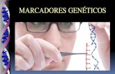 MARCADORES GENÉTICOS · PDF fileMarcadores Morfológicos Genes asociados a caracteres fenotípicos, fáciles de identificar visualmente. Número limitado Poco informativos