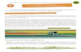 PARTE TEÓRICA: LA AGRICULTURA ECOLÓGICAecohuertosescolares.eu/sites/default/files/teoriaae.pdf · MARCO TEÓRICO DE AGRICULTURA ECOLÓGICA - Página 1-Huertos Escolares Ecológicos: