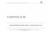 CAPITULO III DESCRIPCION DEL PROYECTO · PDF fileDiseño Básico del Proyecto C.H. Pucará – Ex C.H. Salcca – 2007. ... mientras que la bocatoma más elevada del canal de alimentación