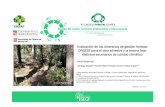 Evaluación de los itinerarios de gestión forestal ORGEST ...7cfe.congresoforestal.es/sites/default/files/comunicaciones/586.pdf · ORGEST para el pino silvestre y la encina bajo