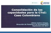 Consolidación de las capacidades para la CTeI: Caso …cdn02.pucp.education/investigacion/2017/11/01160600/4-Liliana... · Modelo de reconocimiento y clasificación 6. ... Regulación