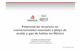 Potencial de recursos no convencionales asociado a plays ... · PDF filePotencial de recursos no convencionales asociado a plays de aceite y gas de lutitas en México J. Antonio Escalera