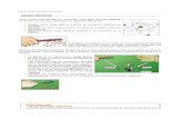 Cargas eléctricas - Educarex · PDF fileLey de Coulomb: interacción entre cargas eléctricas En esta página Web encontrarás una animación que nos permite comprobar la fuerza de