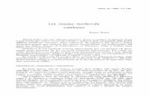 Les insiilac medievals catalanes RAMON MARTÍibdigital.uib.es/greenstone/collect/bsalArticles/archives/BSAL_198/... · firmación del conjunto de las posesiones de todo un obispado,