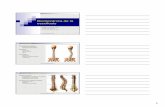 Biomecánica de la escoliosis -   · PDF fileBiomecánica de la escoliosis ... Incluyendo la pelvis (Risser) ... Microsoft PowerPoint - Biomecanica escoliosis.ppt