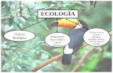 ECOLOGÍA -   · PDF fileTomado de: Solomon y otros. Biología de Villee. (1998) Tomado de: Nebel y Wright. Ciencias Ambientales Ecología y Desarrollo Sostenible. (1999)