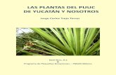 LAS PLANTAS DEL PUUC DE YUCATÁN Y NOSOTROSppd.org.mx/tts/up/documentos/bd1214-2do-Libro_de_Flora_EN_PROC… · Plantas cultivadas originarias de Yucatán Varias plantas cultivadas