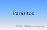 Parásitos - Microred · PDF fileReservorio: Es el hábitat natural del agente infeccioso, donde este normalmente vive y se multiplica (ciclo de vida): •Hombre enfermo, hombre portador