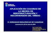 Aplicacion en Canarias de la medida de reestructuracióm y ... · PDF file- Ficha de operaciones, ... • PAGO INDIVIDUALIZADO POR VITICULTOR CON OBRA EJECUTADA O EN CONCEPTO DE ANTICIPO