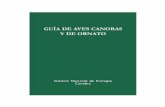 GUÍA DE AVES CANORAS Y DE ORNATO - · PDF fileEl objetivo de publicar esta Guía de aves canoras y de ornato es cubrir las necesidades ... de una especie a otra, en cantidad más