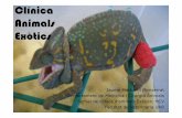 Clínica Animals Exòtics - veterinariavirtual.uab.catveterinariavirtual.uab.cat/optatives/Microsoft PowerPoint - Clinica... · 3 crèdits: 49% presencialitat Generalitats, Maneig,