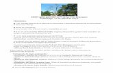 XXXVI Aplec patriòtic al Pi de les Tres Branques Diumenge ...ipecc.cat/novaweb/wp-content/uploads/2015/07/2015-Programa-Aplec... · La Independència a l’Aplec del Pi de les Tres
