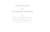 LECCIONES de ALGEBRA LINEAL - uv.esiranzo/AlgebraLineal.pdf · El Algebra Lineal estudia la estructura de los espacios vectoriales y las aplicaciones lineales entre ellos. Las lecciones