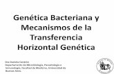 Genética Bacteriana y Mecanismos de la Transferencia ... ©tica Bacteriana y... · PDF filela replicación y la expresión de los genes. ... •Metabolismo de azúcares y compuesto